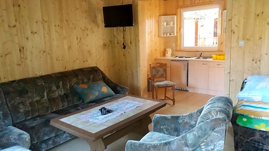 Domki nad jeziorem w Kar¿owicach