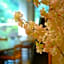 Ohanami Kyubei