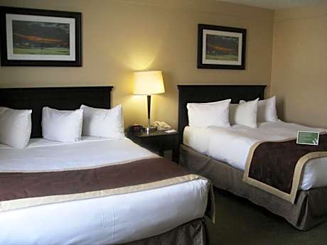 Queen Room with Two Queen Beds and City View - Non-Smoking