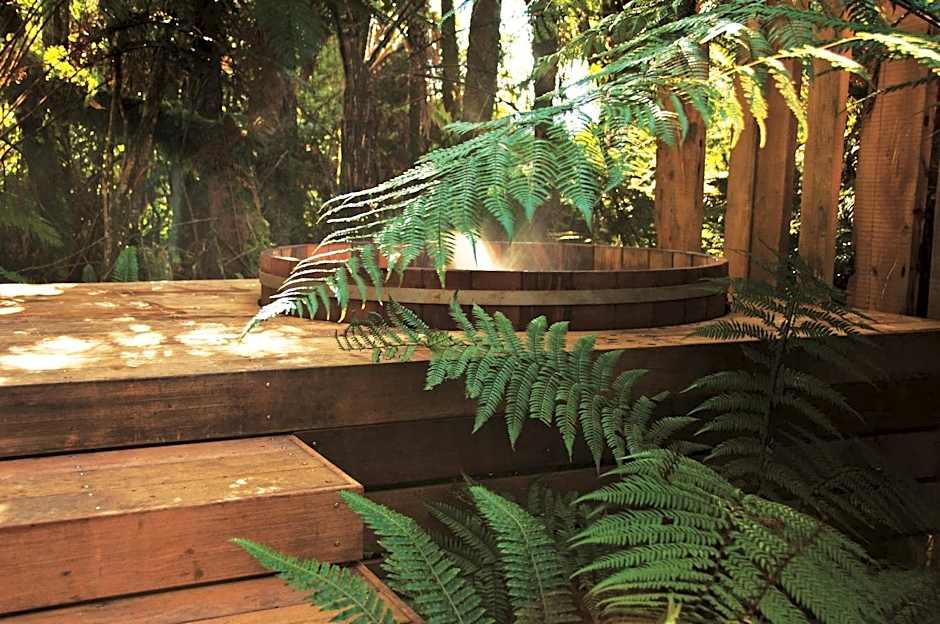 Treetops Lodge & Estate