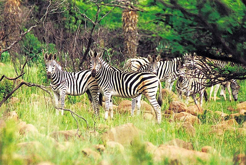 Fugitives Drift Lodge