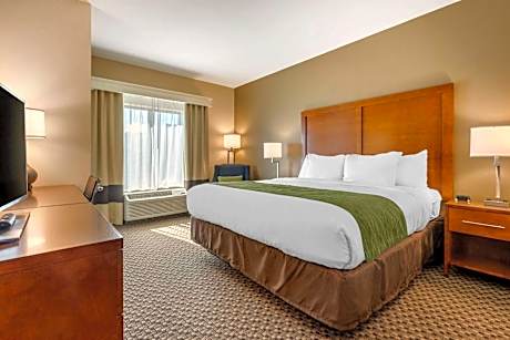 1 King Bed, Nonsmoking, Accessible
