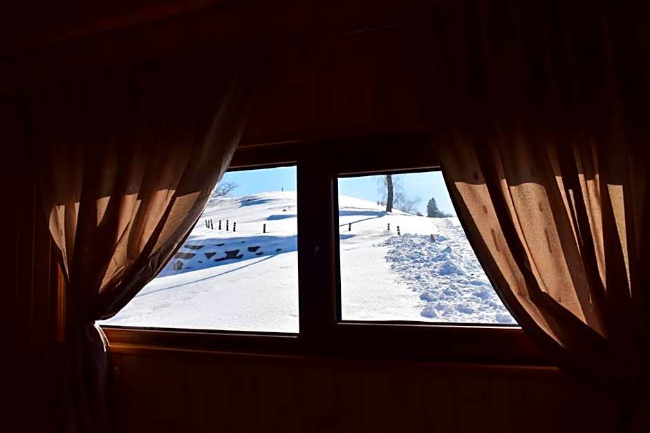 Cabana doi mesteceni