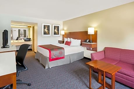 1 King Bed Non-Smoking