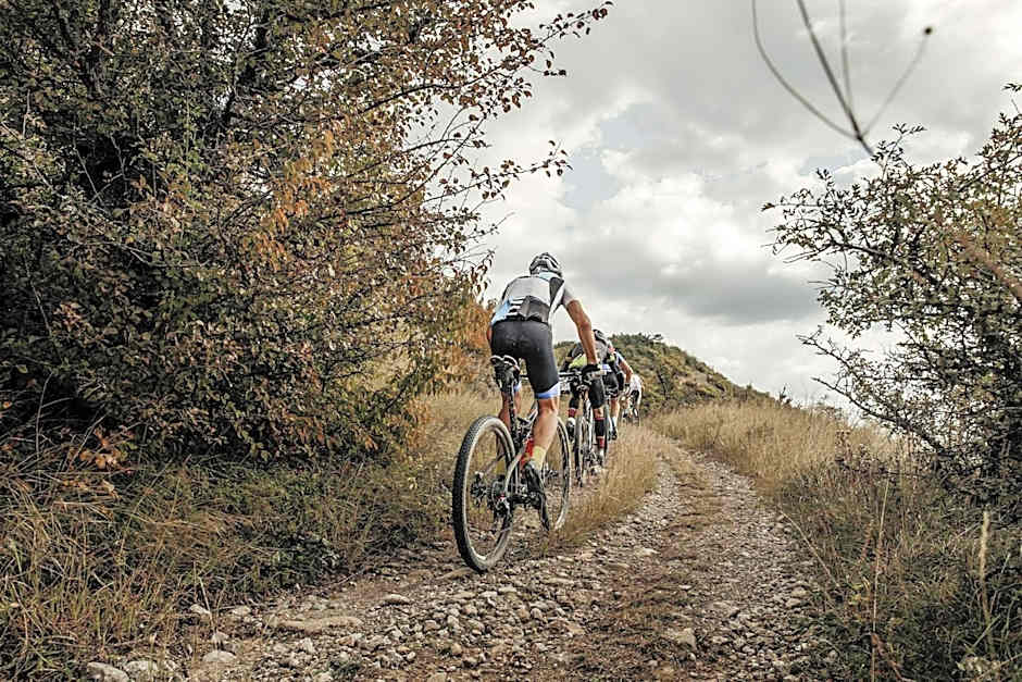 ASTER Boutique Hotel & Chalets