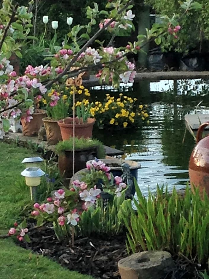 Rebels Hide -Self check in rooms