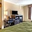 Quality Inn Duluth - Atlanta Northeast