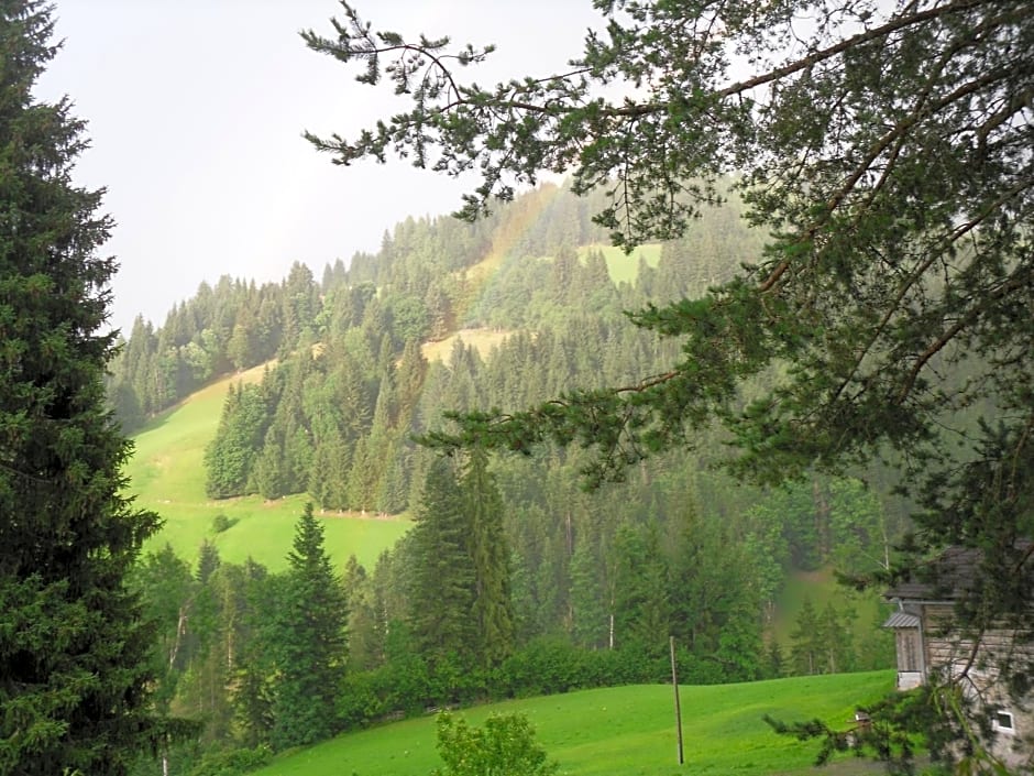 Vorderwiesgut – Altenmarkt, MN