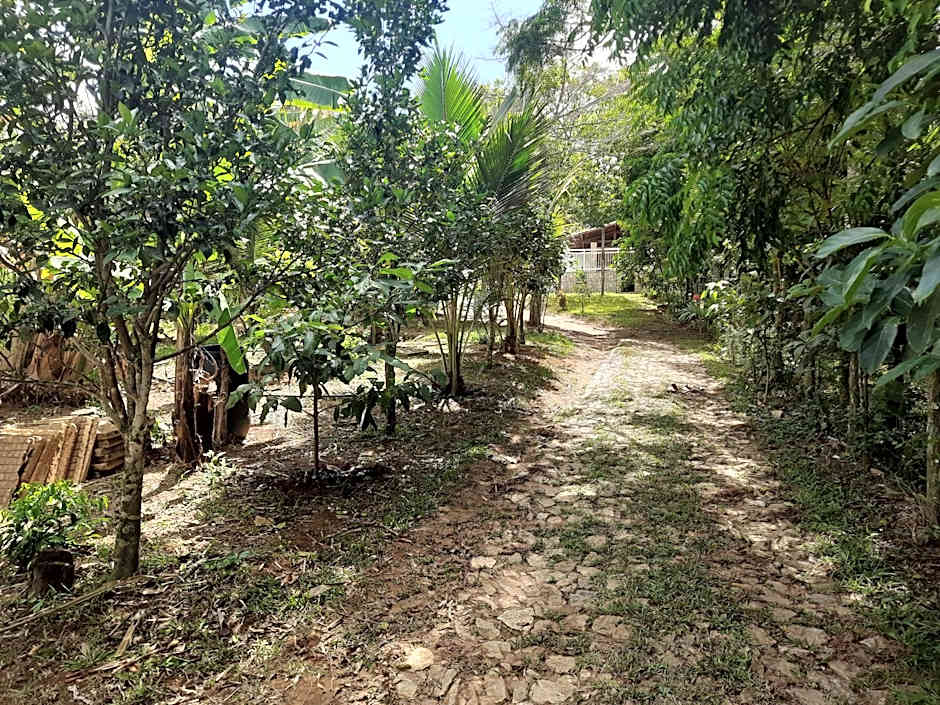 Casa com piscina em Guaramiranga - Chalé Verdelândia