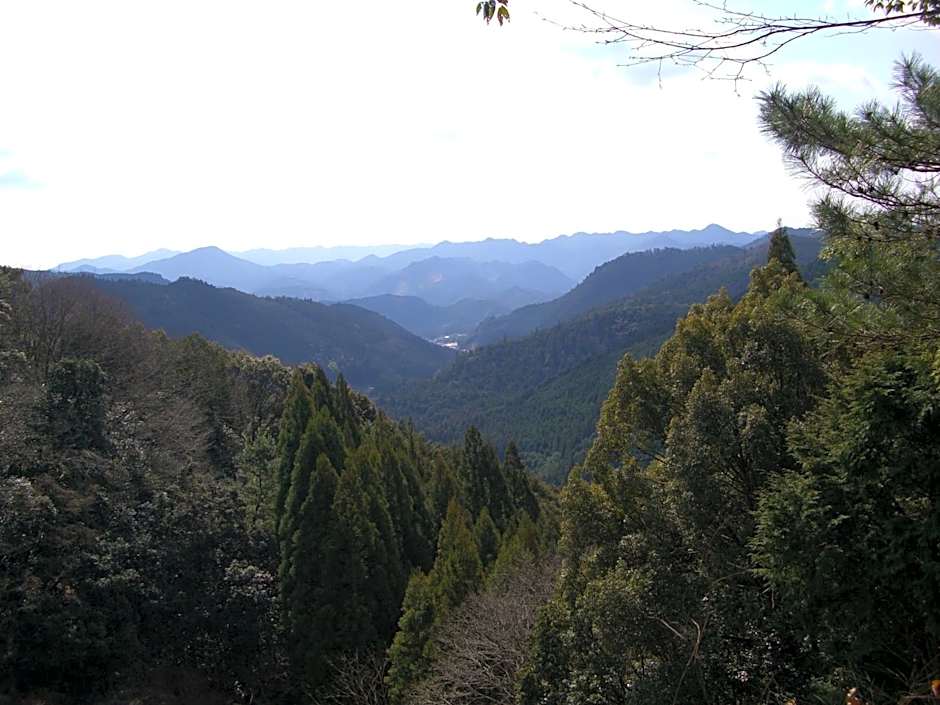 Ashita no Mori