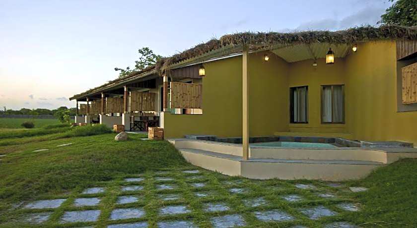 Asiatic Lion Lodge