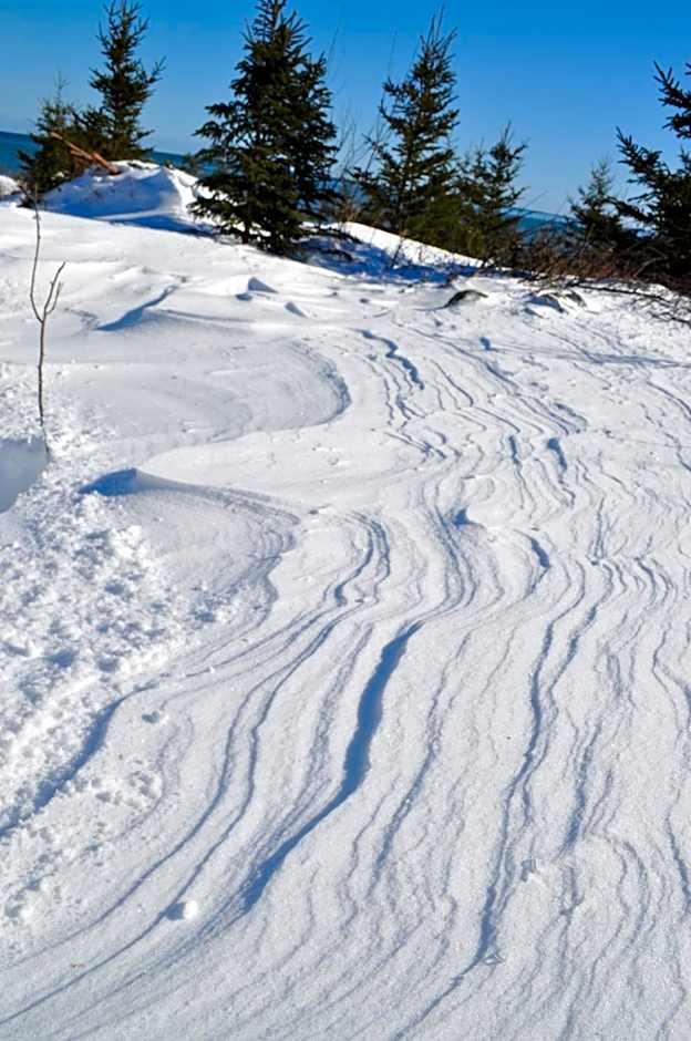 The Sleeping Moose Cottage