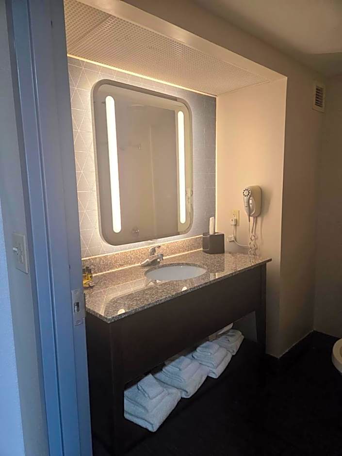 Hamilton Inn Birmingham-Bessemer