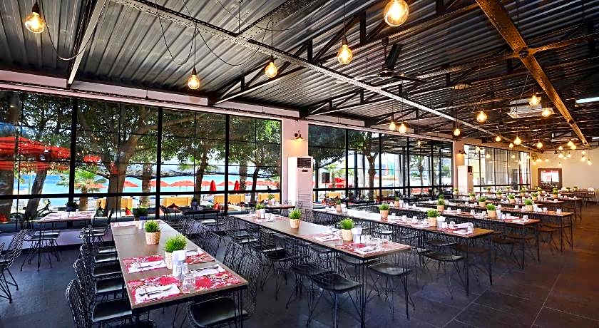 Very Chic Adult Only 18 