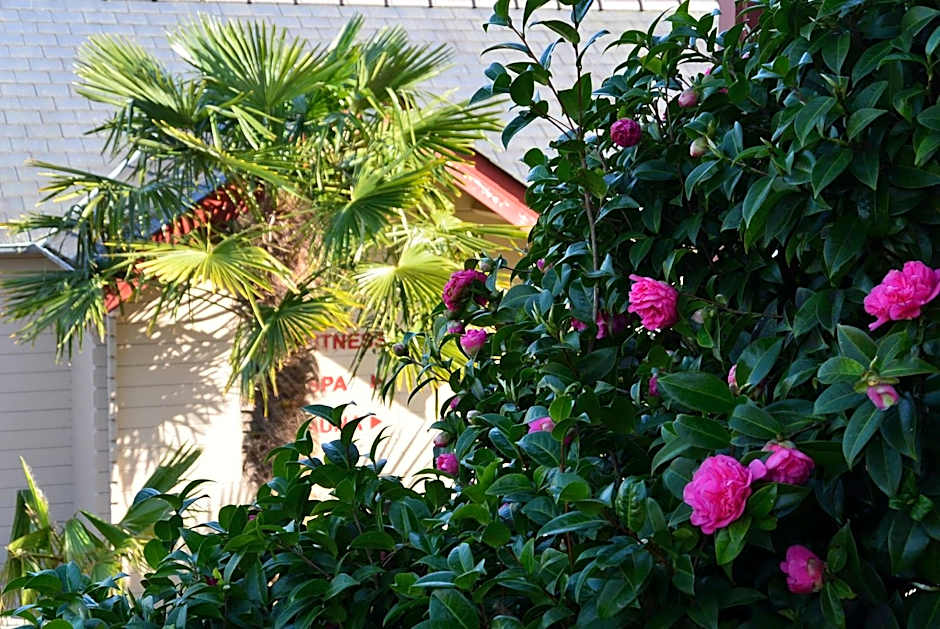 Hotel Nuit Et Jour - La Maison de Lucile