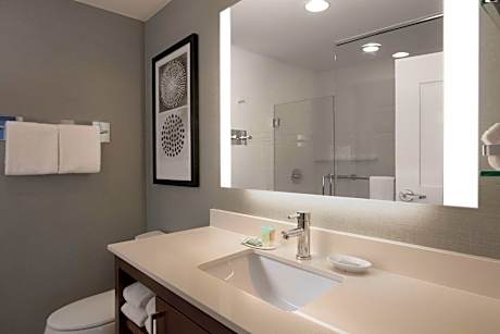 Studio, 1 King Bed with Sofa bed (Hearing Accessible) (1 King Bed and 1 Double Sofa Bed)