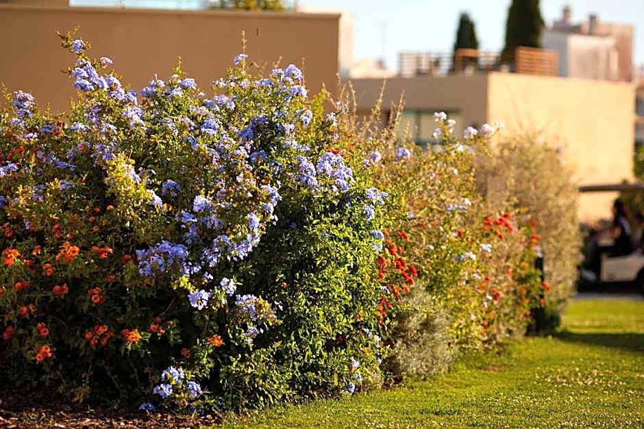 White Shell Beach Villas