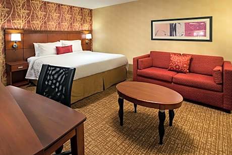 King Room with Sofa Bed and Roll-in Shower - Mobility and Hearing Accessible