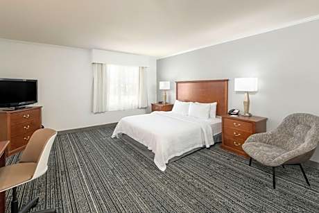 King Studio Suite with Sofa Bed and Roll-in Shower - Mobility and Hearing Accessible
