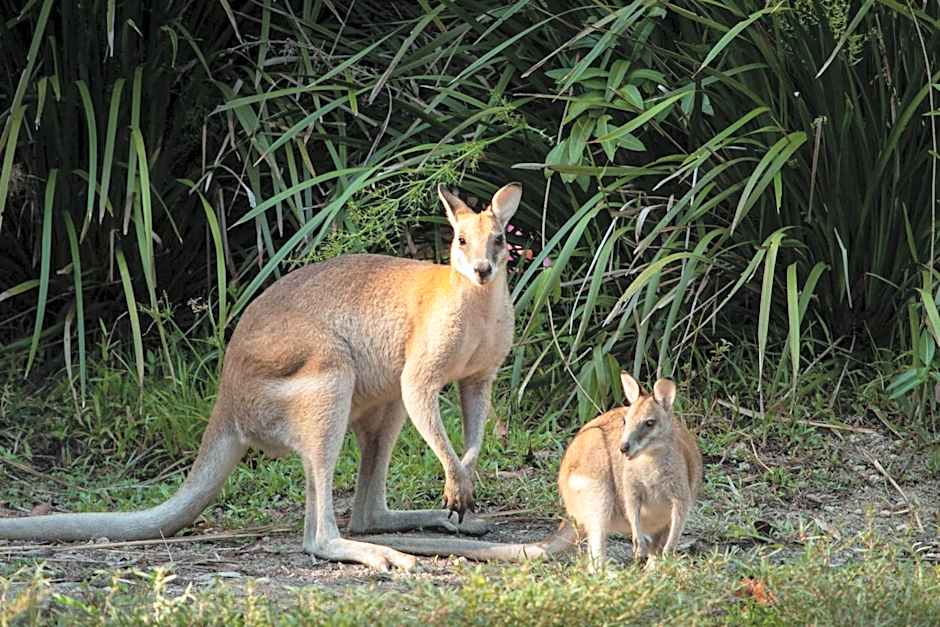 Thala Beach Nature Reserve