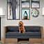 Homewood Suites By Hilton Seattle/Lynnwood