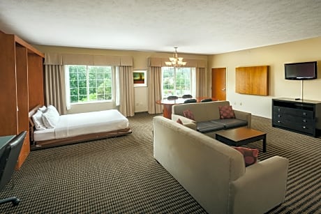 1 Queen Murphy Bed Suite Sofa Bed