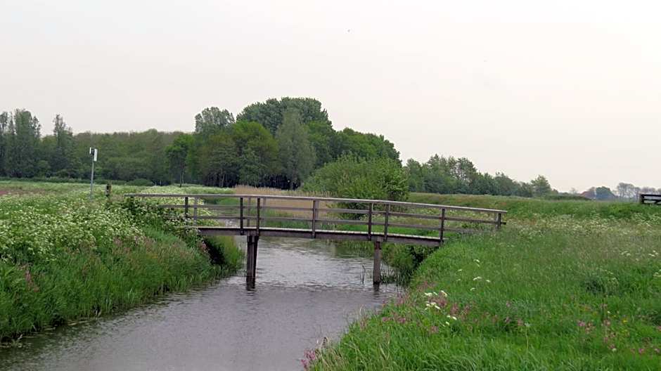 't Zwanemeer