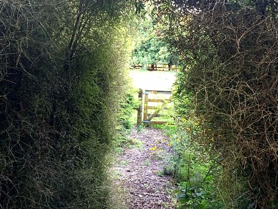 English Cherry Tree Manor