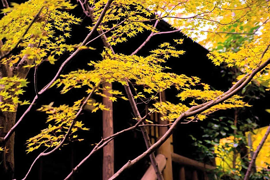 Kurokawa Onsen Oyado Noshiyu