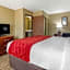 Comfort Inn & Suites Mccomb