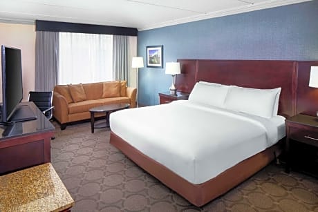 1 King Bed With Sofabed - Nonsmoking