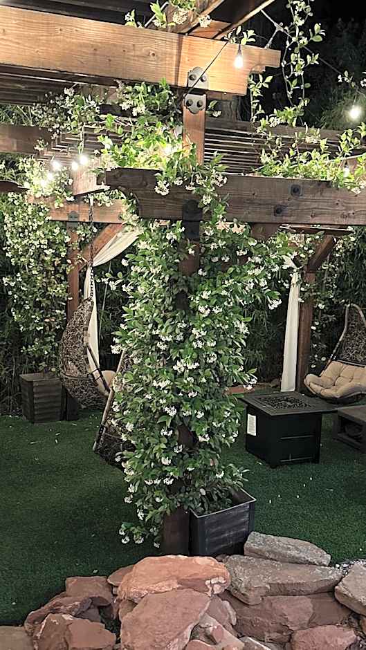 Lantern Light Inn - Romantic Getaway