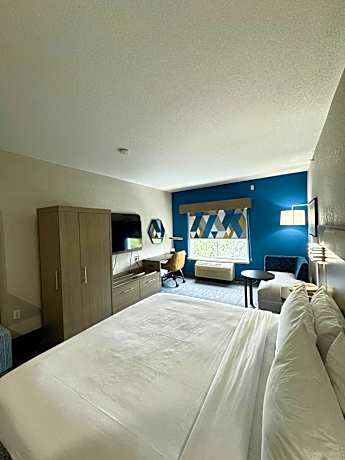 1 King Bed Standard