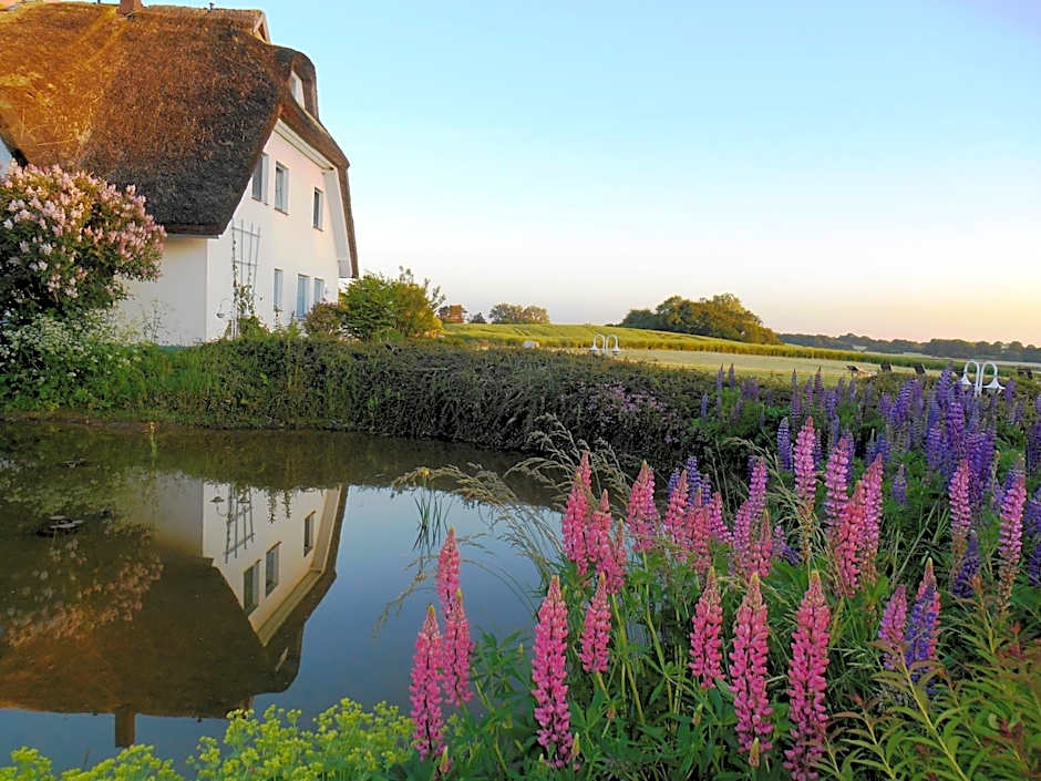 Landhotel Kastanienallee Putbus