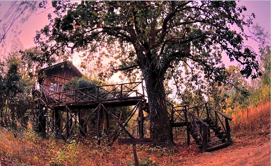 Pugdundee safaris - Tree House Hideaway