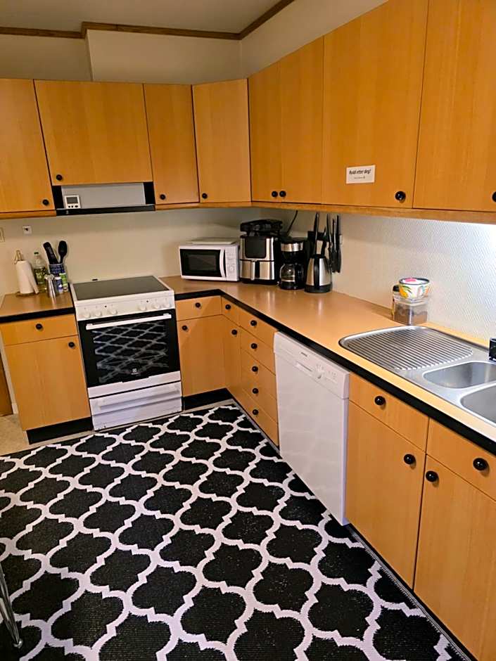 Rom 6 sentralt i Sogndal