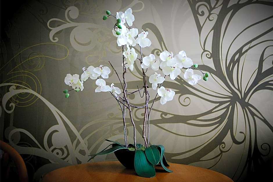 Hotel Neuwarft Altbau