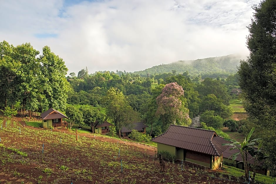 Chiang Mai Elephant Friends
