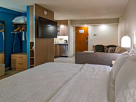 1 King Bed Studio Suite