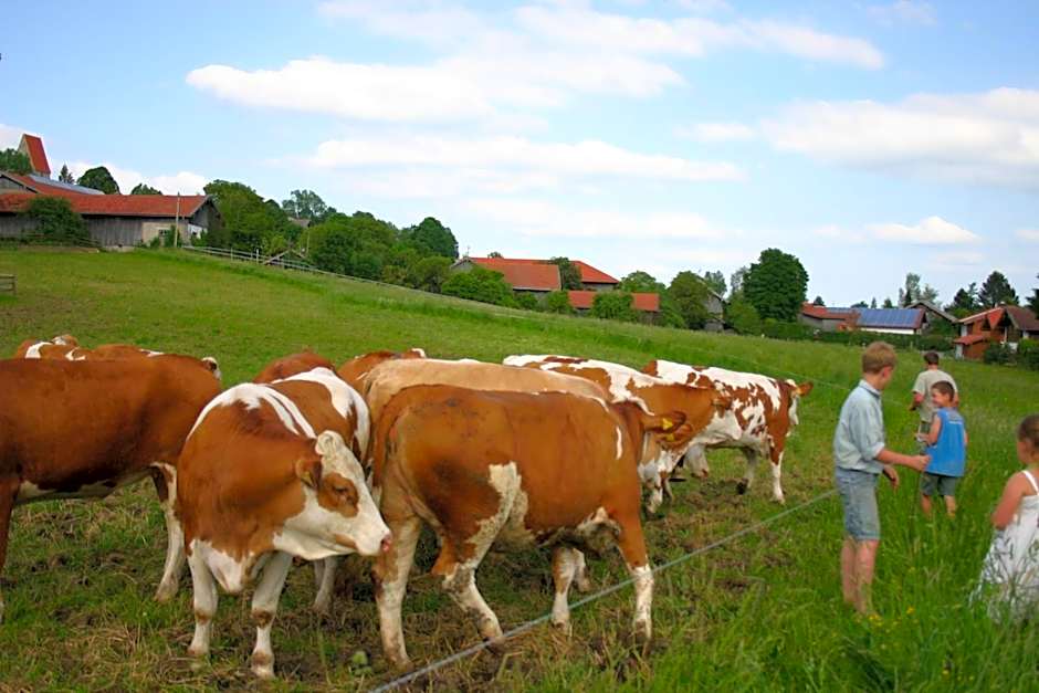 Beim Huber in Linden