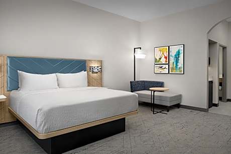 King Suite with Disability Access and Bathtub - Non Smoking