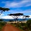 African Sunrise Lodge and Campsite