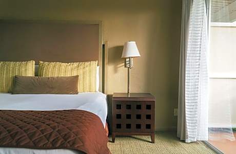 Standard One Bedroom Suite 1 King bed with Sofa Bed