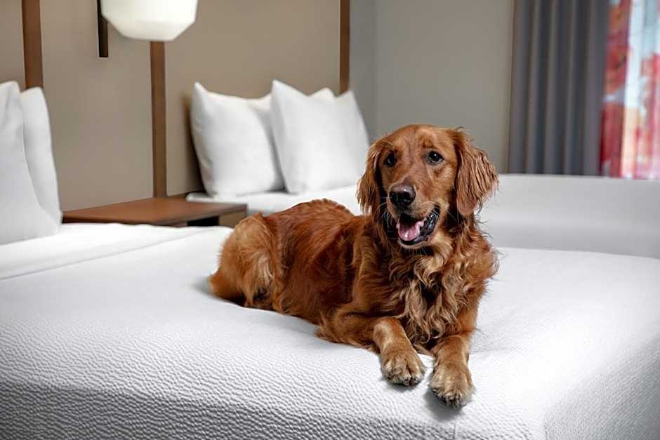 Fairfield Inn & Suites by Marriott Sarasota Lakewood Ranch