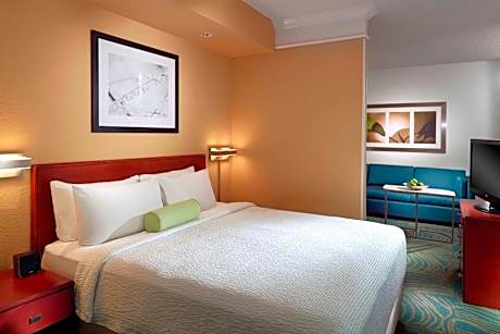 King Suite with Sofa Bed and Roll-in Shower - Mobility and Hearing Accessible