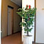 Residence Antica Fonte