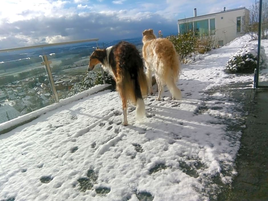 Swiss Borzoi House