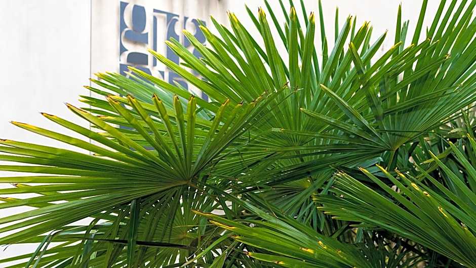 Hotel Residenza Gra 21