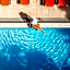Hotel Villa Pax