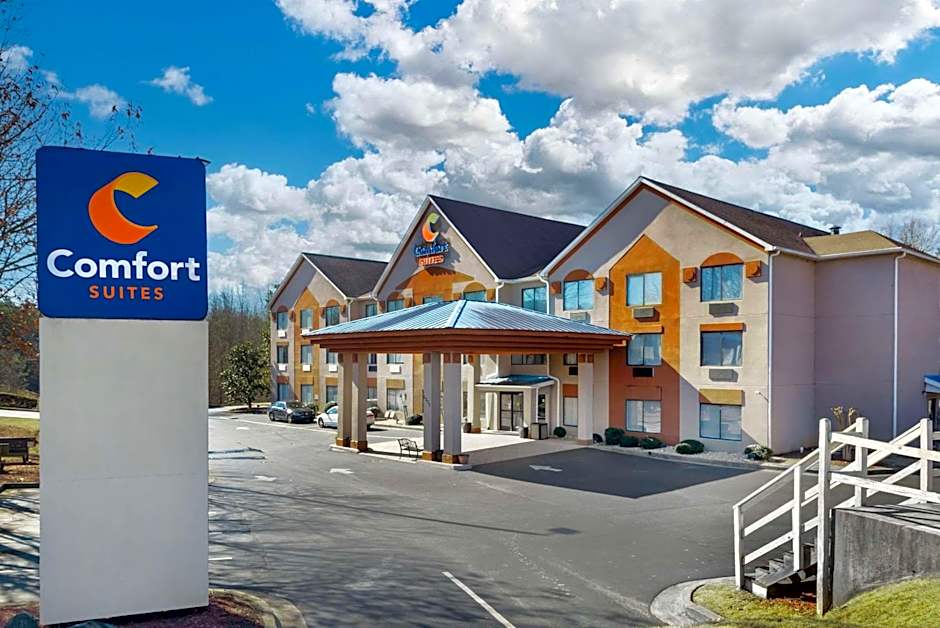 Comfort Suites Northside Hospital Gwinnett